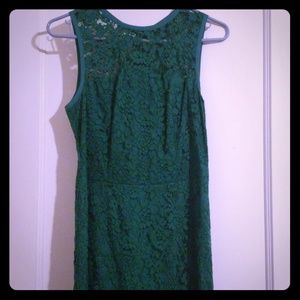 Lace The Limited dress